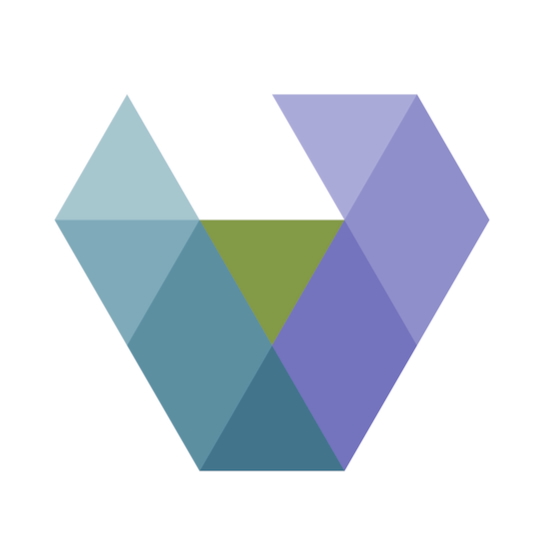 The Vallee Foundation